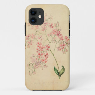 iPhone 5 Hoesje -  orchidee illustratie