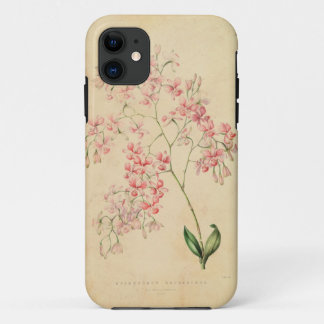 iPhone 5 Hoesje - orchidee illustratie