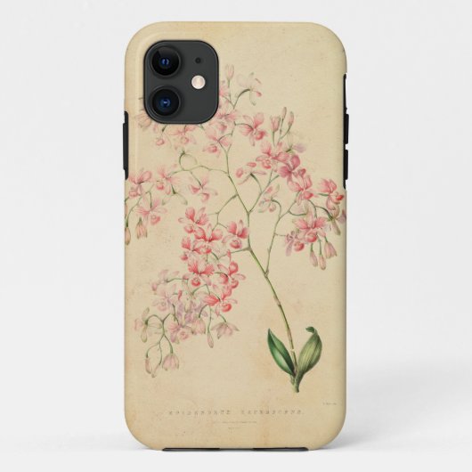 iPhone 5 Hoesje - orchidee illustratie (Achterkant)
