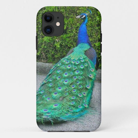 iPhone 5 Hoesje, "Proud Peacock" Case-Mate iPhone Case (Achterkant)