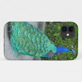 iPhone 5 Hoesje, "Proud Peacock" Case-Mate iPhone Case (Achterkant (horizontaal))