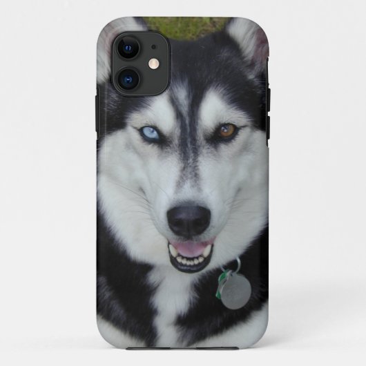 IPhone 5 Hoesje Siberian Husky (Achterkant)
