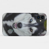 IPhone 5 Hoesje Siberian Husky (Achterkant (horizontaal))