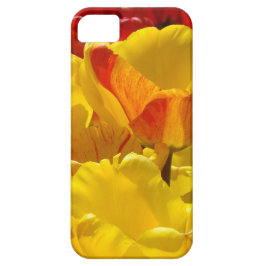 iPhone 5 Hoesjes cadeaus Gele Rode Tulpen Bloemen