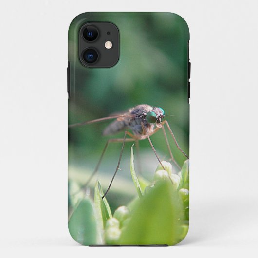 iPhone 5 Hülle grosse Mücke Case-Mate iPhone Case (Achterkant)