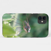 iPhone 5 Hülle grosse Mücke Case-Mate iPhone Case (Achterkant (horizontaal))