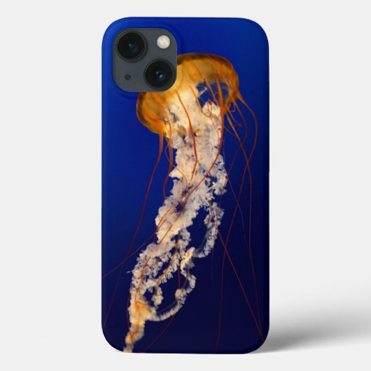 iphone 6 hoes (Achterkant)
