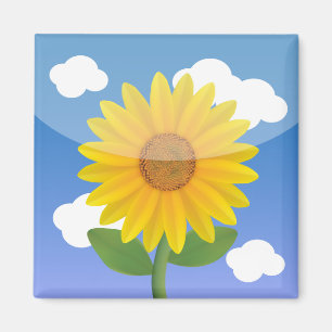 iPhone App Magneten - Foto's