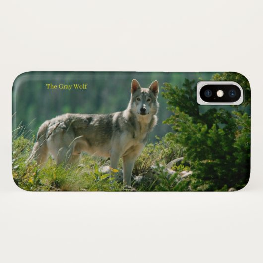 iPhone Case (Achterkant (horizontaal))