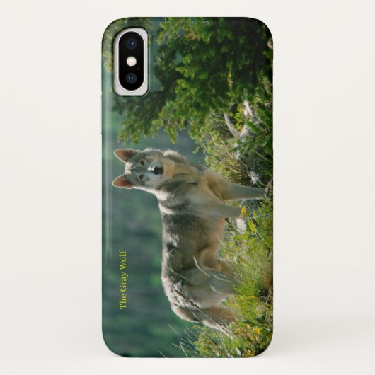 iPhone Case (Achterkant)