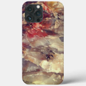 iPhone Case - Kwartz in Petrified Log 3 Red (Achterkant)