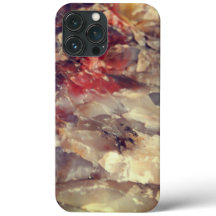 iPhone Case - Kwartz in Petrified Log 3 Red