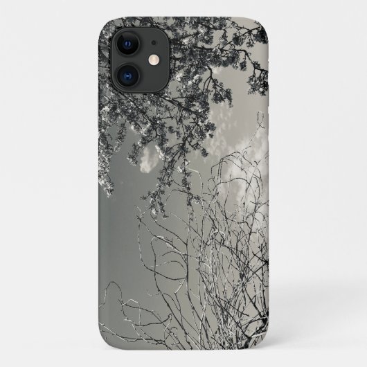 iPhone cover with sky and spring branches (Achterkant)