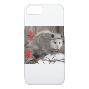 IPhone gevallen Opossum Natuur iPhone 8/7 Hoesje