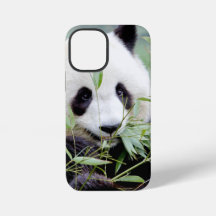 iPhone hoesje Foto reuzenpanda, dieren.