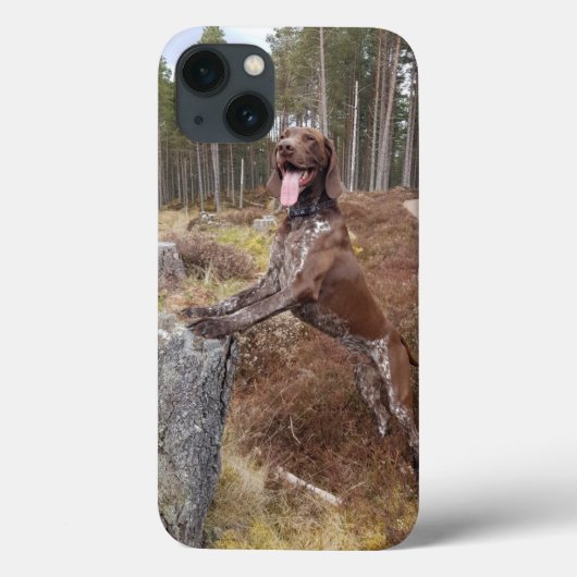 iPhone-hoesje voor Duitse Kurzschnauzige Pointer Case-Mate iPhone Case (Achterkant)