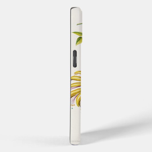 iPhone / iPad ケース Case-Mate iPhone Case (Achterkant / Rechts)