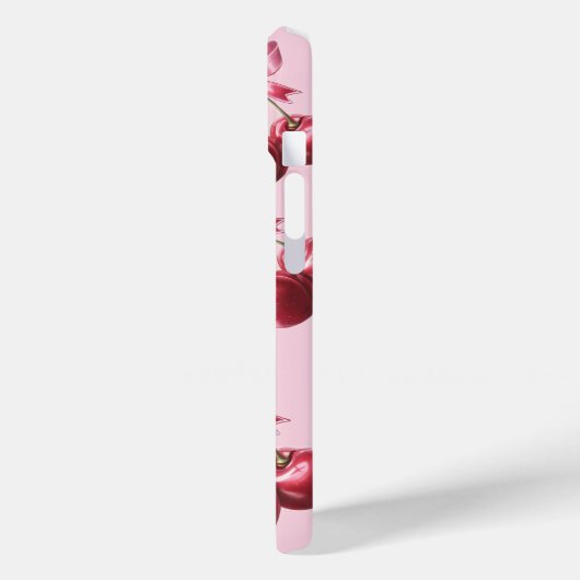 iPhone / iPad case (Achterkant / Links)