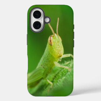 iPhone / iPad case