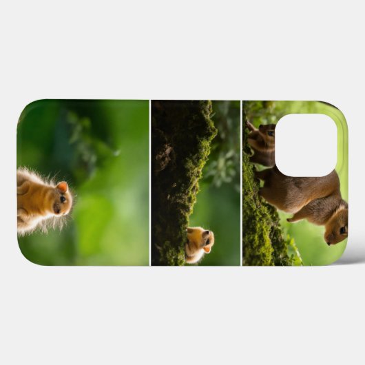 iPhone/iPad-draagtas Case-Mate iPhone Case (Achterkant (horizontaal))