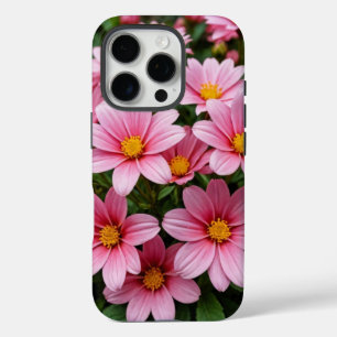 iPhone / iPad hoes