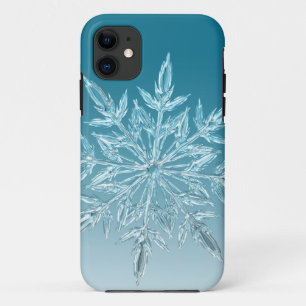 iPhone / iPad hoes