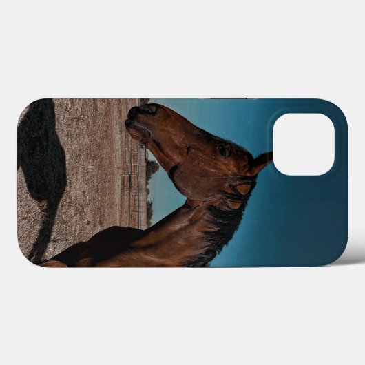 iPhone / iPad hoes (Achterkant (horizontaal))