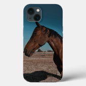 iPhone / iPad hoes (Achterkant)