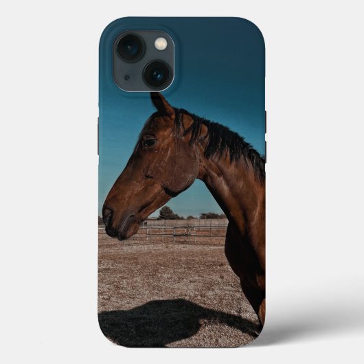 iPhone / iPad hoes (Achterkant)