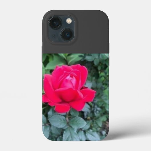 iPhone / iPad hoesje (Achterkant)