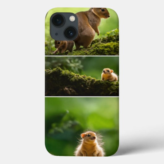 iPhone / iPad hoesje (Achterkant)