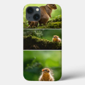 iPhone / iPad hoesje (Achterkant)