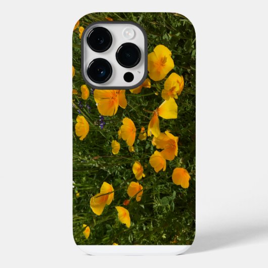 iPhone-veld papavers Case-Mate iPhone Case (Achterkant)