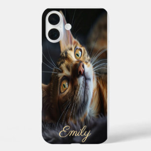  iPhone voor kattenliefhebbers iPhone 16 Plus Hoesje