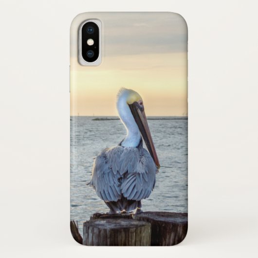 iPhone X Pelican Hoesje (Achterkant)