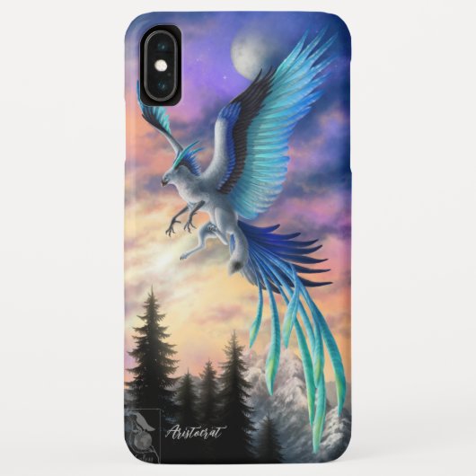 iPhone XS Max hoesjes, iPhone hoesjes (Achterkant)