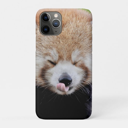 iPhonezaak Foto reus panda, dieren. Case-Mate iPhone Case (Achterkant)