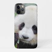 iPhonezaak Foto reus panda, dieren. Case-Mate iPhone Case (Achterkant)