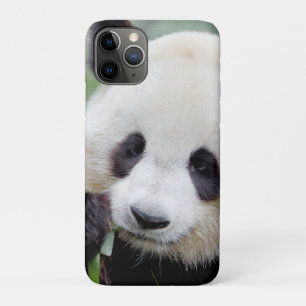 iPhonezaak Foto reus panda, dieren. Case-Mate iPhone Case