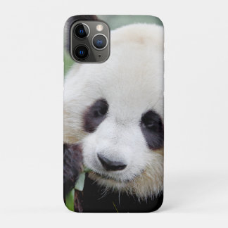 iPhonezaak Foto reus panda, dieren. Case-Mate iPhone Case