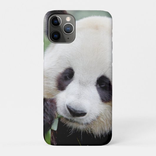 iPhonezaak Foto reus panda, dieren. Case-Mate iPhone Case (Achterkant)
