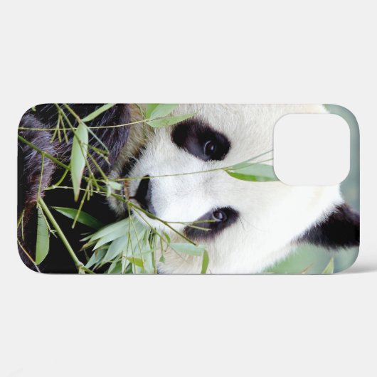 iPhonezaak Foto reus panda, dieren. Case-Mate iPhone Case (Achterkant (horizontaal))