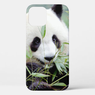 iPhonezaak Foto reus panda, dieren. Case-Mate iPhone Case