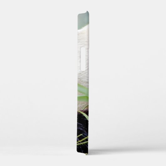 iPhonezaak Foto reus panda, dieren. Case-Mate iPhone Case (Achterkant / Rechts)