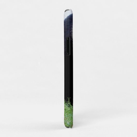 iPhonezaak Foto reus panda, dieren. Case-Mate iPhone Case (Achterkant/rechts)