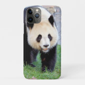 iPhonezaak Foto reus panda, dieren. Case-Mate iPhone Case (Achterkant)
