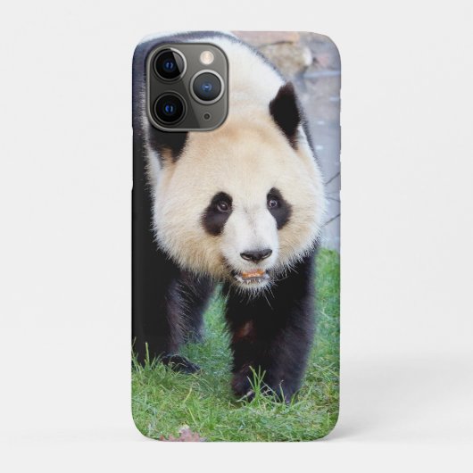 iPhonezaak Foto reus panda, dieren. Case-Mate iPhone Case (Achterkant)