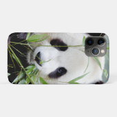 iPhonezaak Foto reus panda, dieren. Case-Mate iPhone Case (Achterkant (horizontaal))