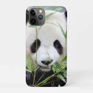 iPhonezaak Foto reus panda, dieren. Case-Mate iPhone Case