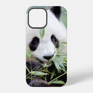 iPhonezaak Foto reus panda, dieren. iPhone 12 Pro Hoesje